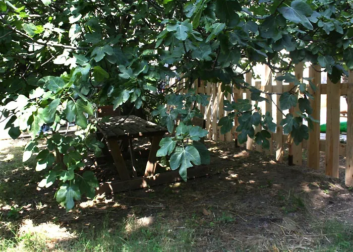 Chalet 1 en bois avec accès piscine