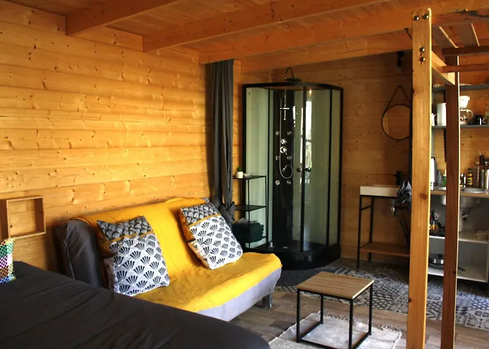 Chalet 2 en bois avec accès piscine