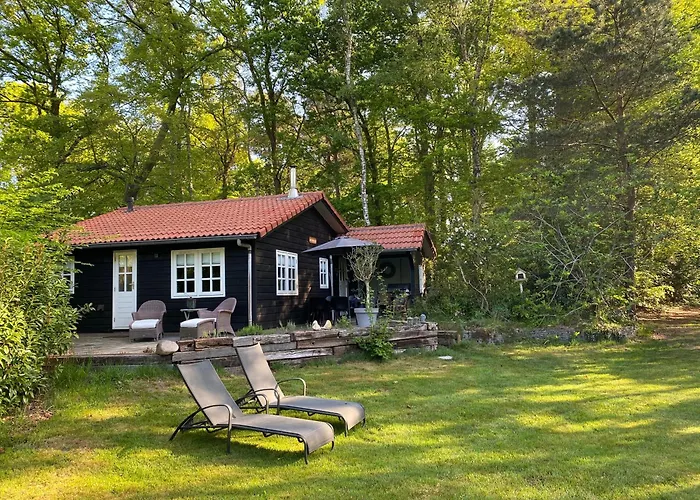 de Springop