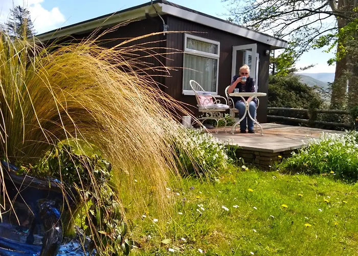 Sea Moss Cabin
