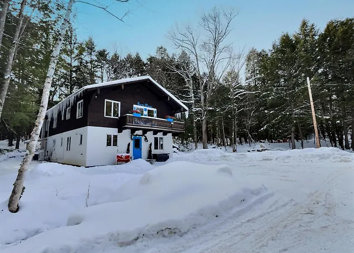 Bearhaus-Fireplace, Huge Indoor Hot Tub, Sleeps 14