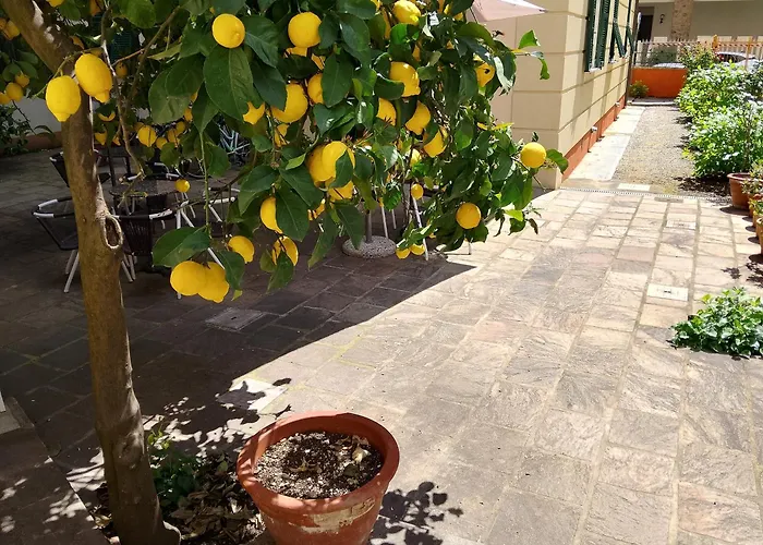 Ca' Del Golfo