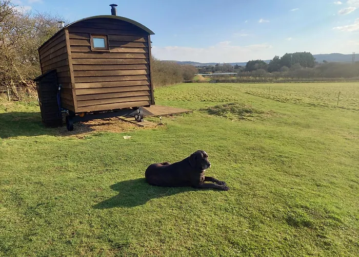 Under The Stars Shepherds Huts At Harbors Lake