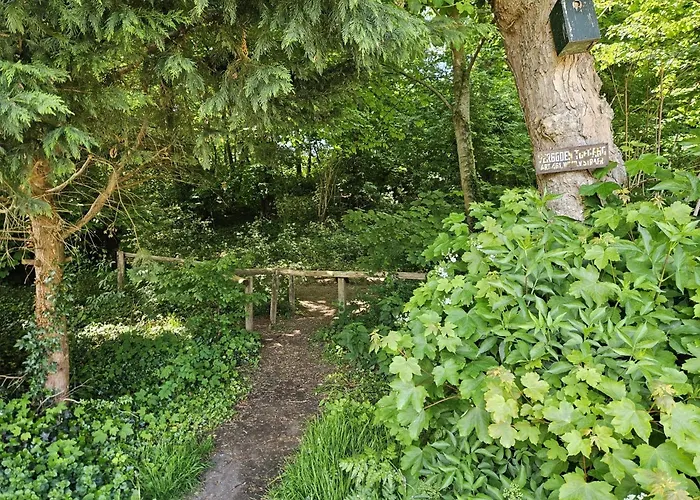 Zomerhuis Duinzicht