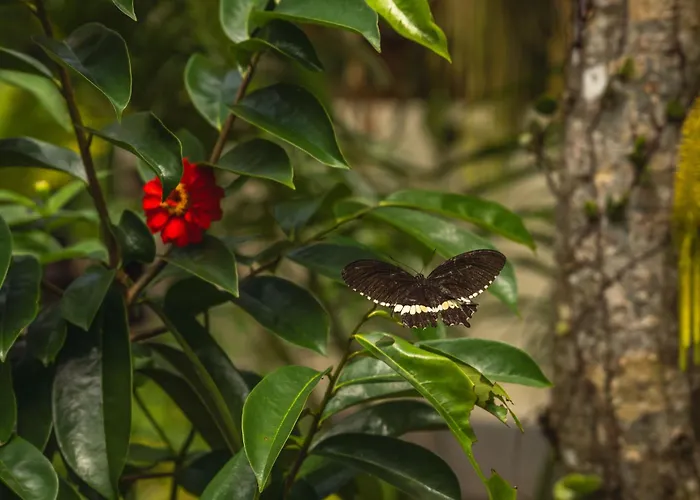 D'Jungle Eco Stay