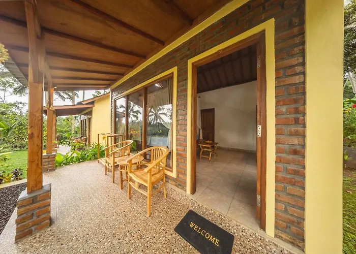 D'Jungle Eco Stay