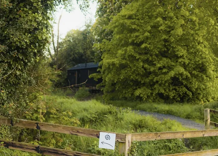 Digital Detox Cabin