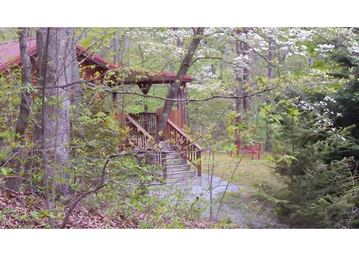 Cabin In The Woods-Peaceful 1Br 20-Acre Rural Retreat-Hottub&Wifi Near Asheville
