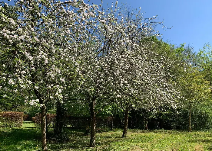 Chalet En Pleine Nature - Le "Clos Des Chevreuils"