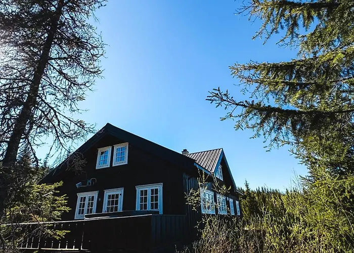 Skeikampen Cabin With Mountain View, Jacuzzi, And 8 Bedrooms