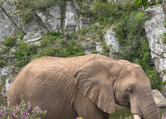 Indalu Game Reserve