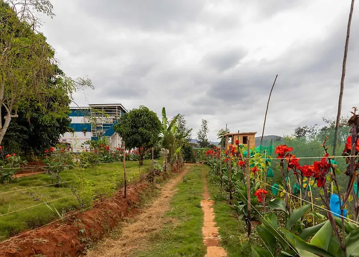 Elmadel Coffee Gardens & Village- Family Villas, Couples Chalets, Holiday Getaway & Garden Coffee Shop, Rustic Gardens- 50Kms From Nairobi