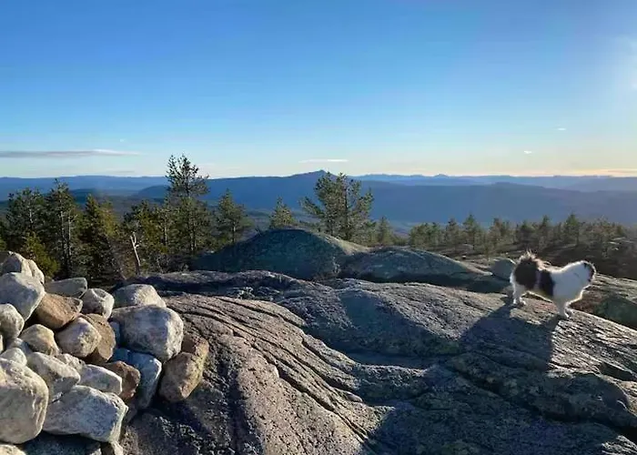 Blefjell Hytte Med Fantastisk Utsikt