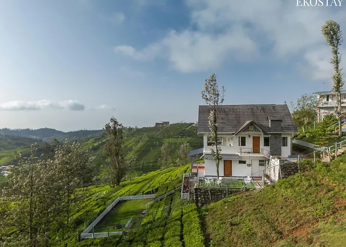 Eko Stay - Woodside Ivy