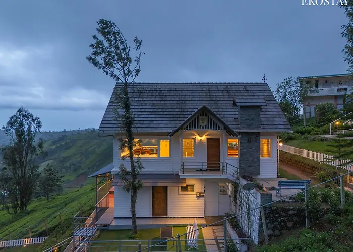 Eko Stay - Woodside Ivy