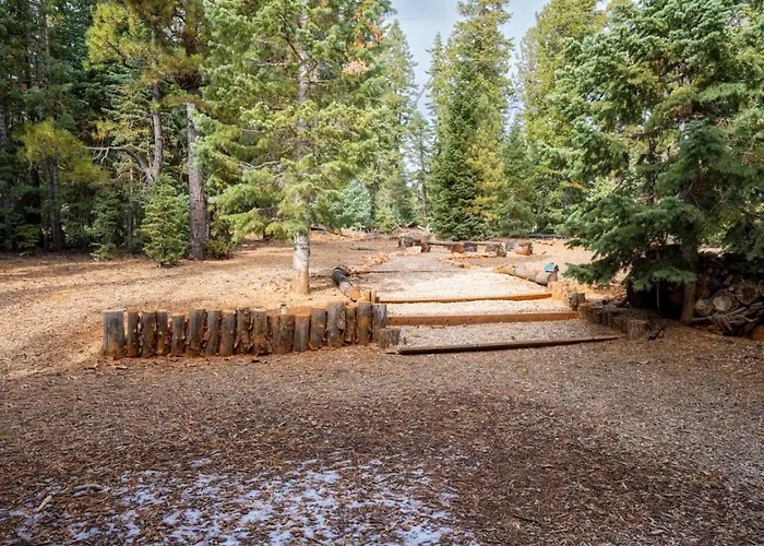 Rustic Forest Retreat
