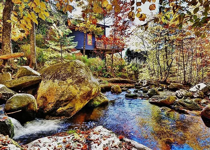 Chalets Alpins- 19 Chemin Alpin