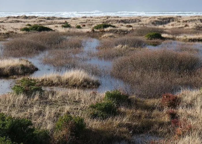 Tidal House #5