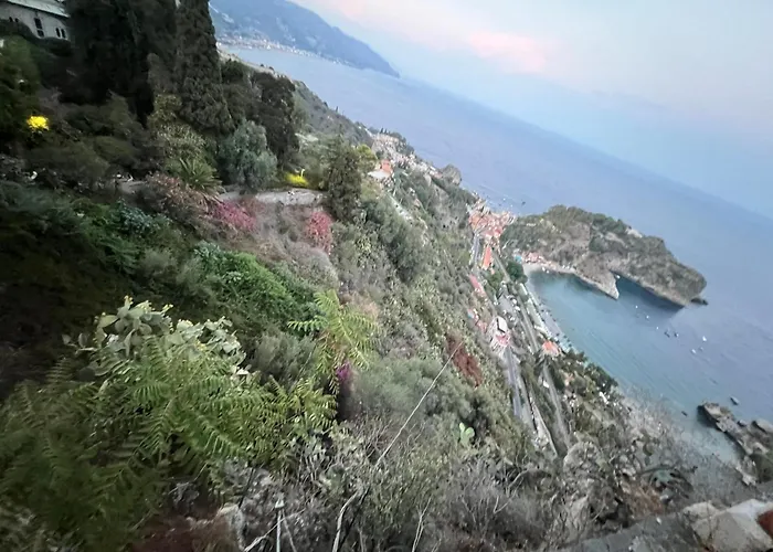 Pino Marino