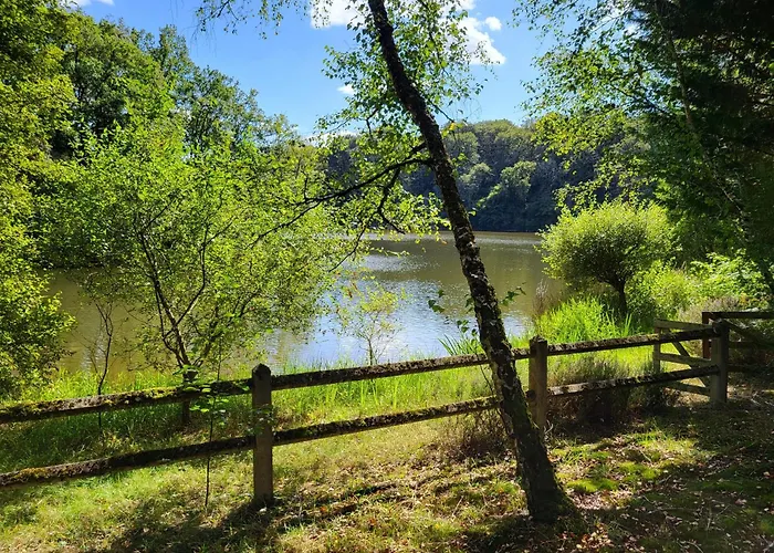 La Cabane, Dans La Foret De Mervent