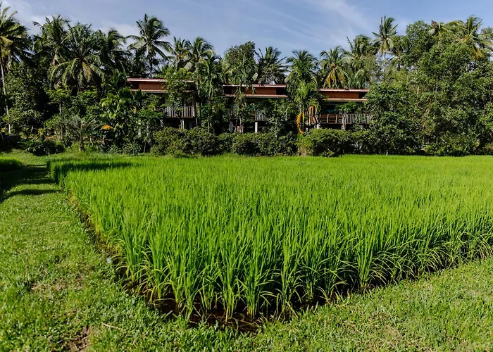 Kunna House
