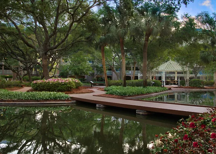 Ping Pong hotel: Marriott'S Grande Ocean