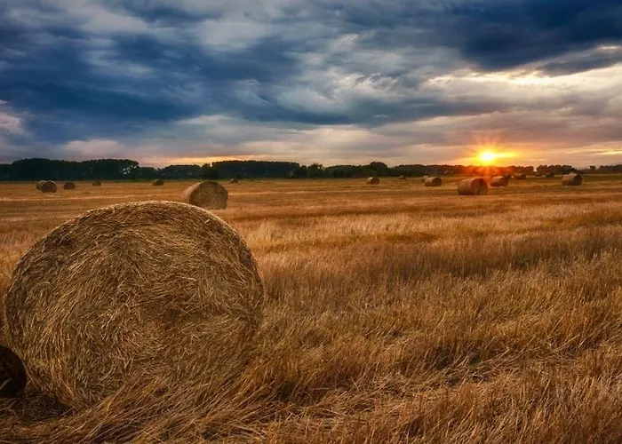 Domek Nad Jeziorem