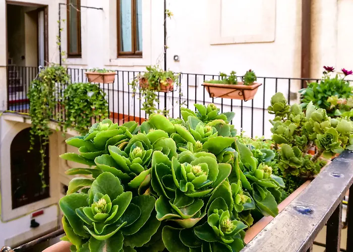  Casa Mia