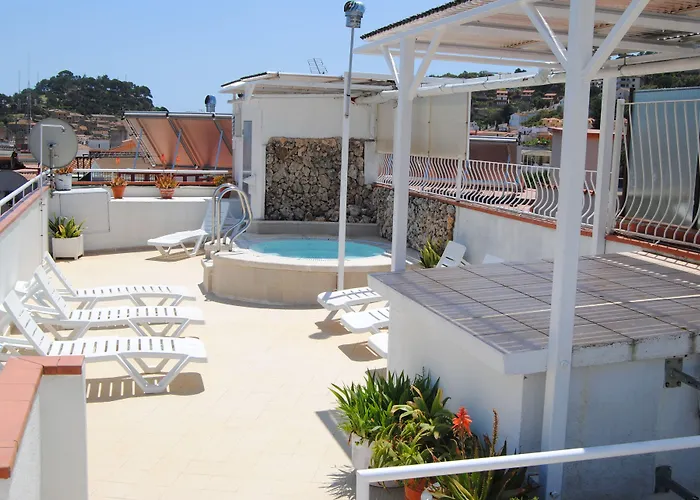 Perros hoteles Hermes