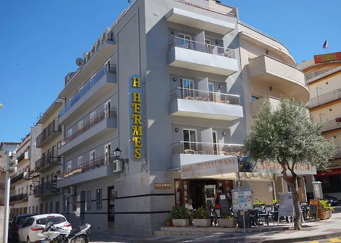 Perros hoteles Hermes