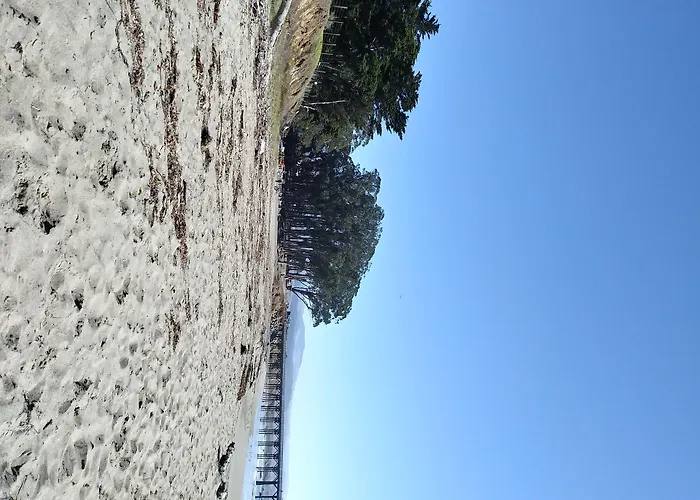 Beach Bungalow Inn And Suites