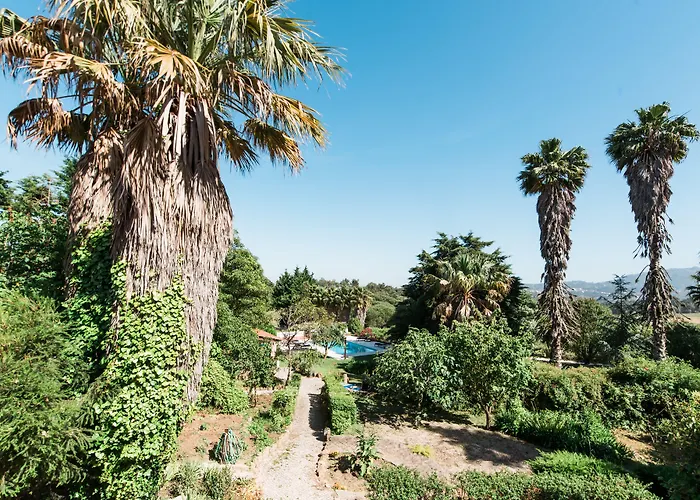 Quinta Verde Sintra - Casa De Campo