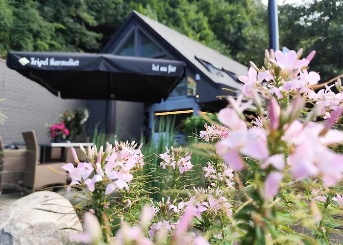 Familiehotel: Hotel La Caleche