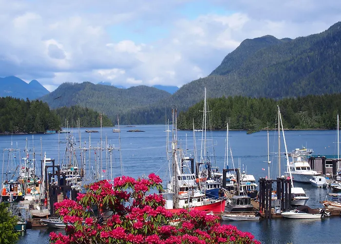 Tofino Harbourview