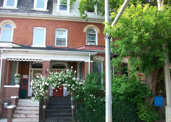 Comfy Guesthouse & Suite