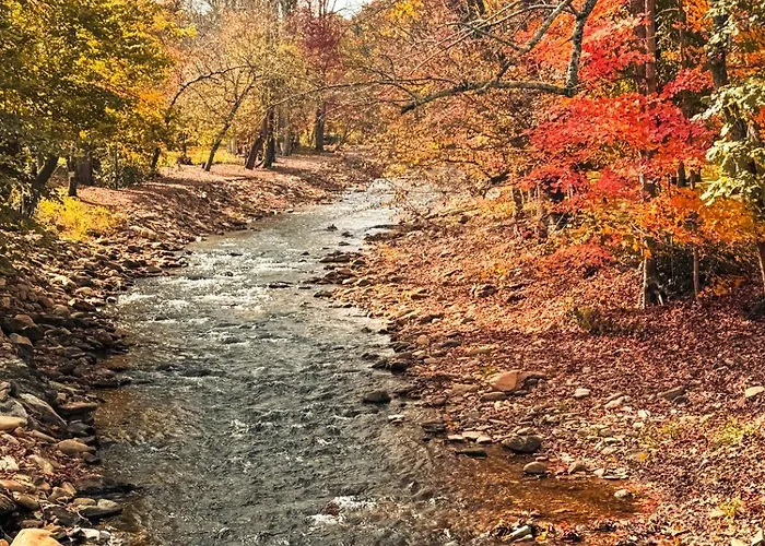 Cozy Creek Cottages