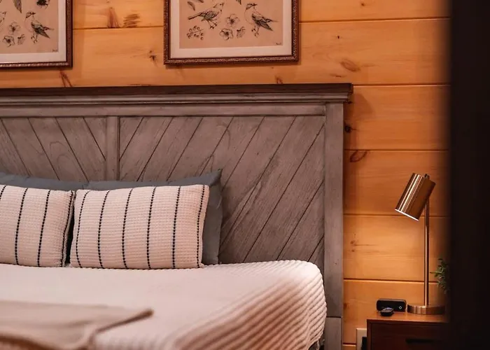 New Cozy Mountain Chalet Hot Tub Near Downtown