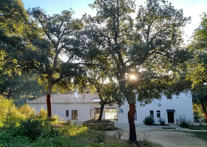 Tambor Del Llano