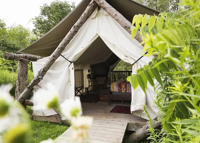 Firelight Camps