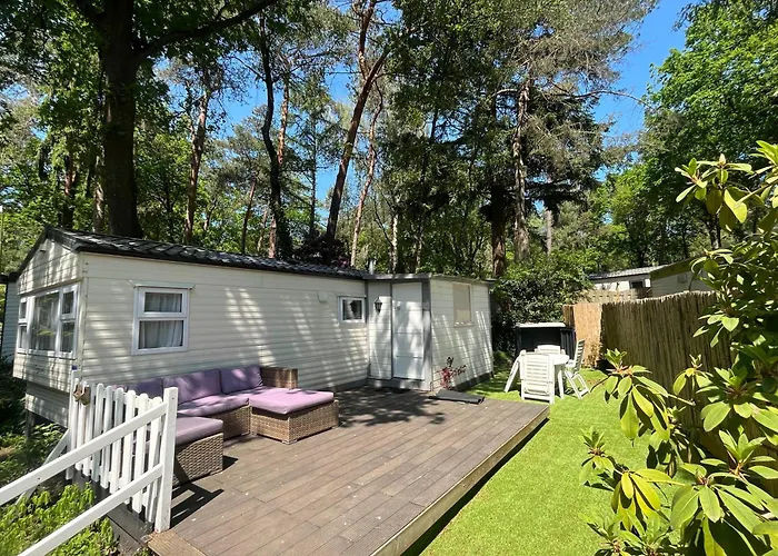 Tante Truus - Rustig natuurhuisje met sauna op de Veluwe