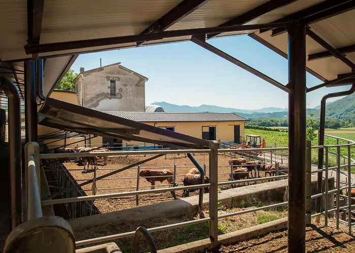 Cabina: Fattoria Didattica La Collina Incantata