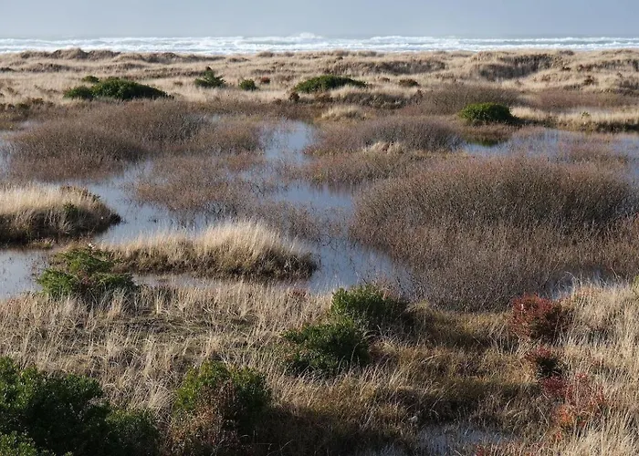 Tidal House #10 - Ocean Shores Chalet