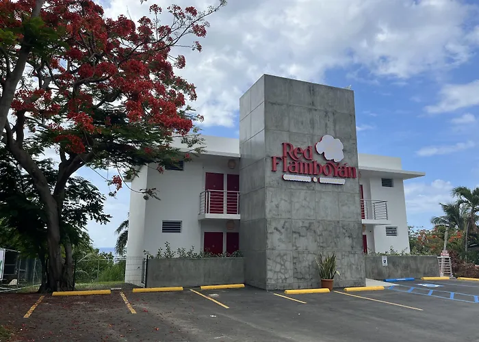 Guest house: Red Flamboyan Guesthouse And Restaurant