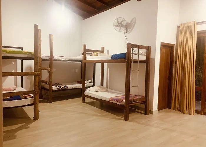 Hostel: Jungle City Hostel