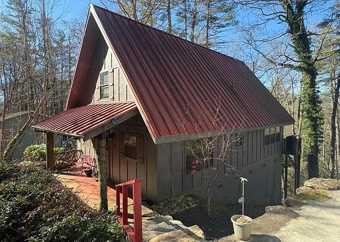 Red Top Tree House