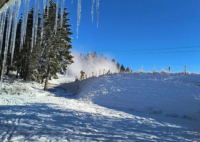 Chalet Momage dichtbij Skiliften, Skiverhuur en Bikepark!