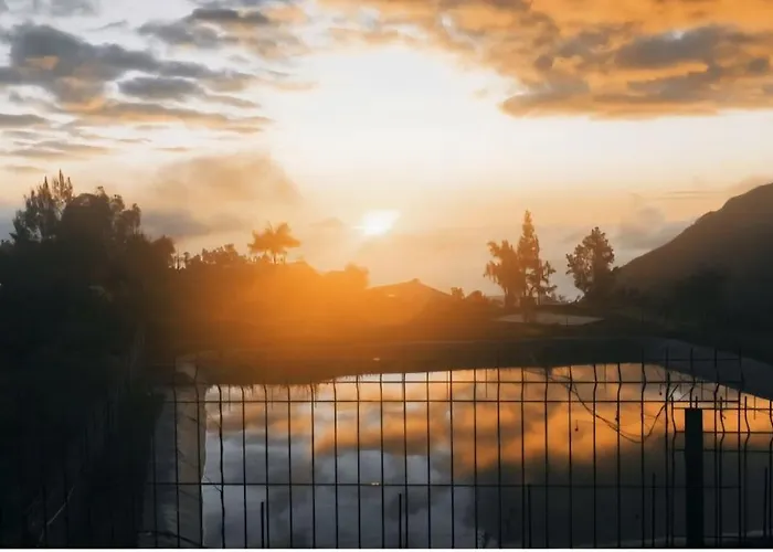 Au Coeur Des Plantations