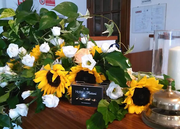 Hotel romantico: Hotel I Platani