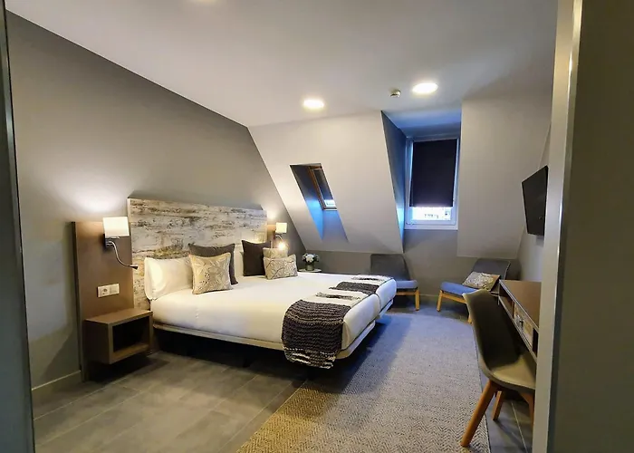 Perros hoteles 5dos5