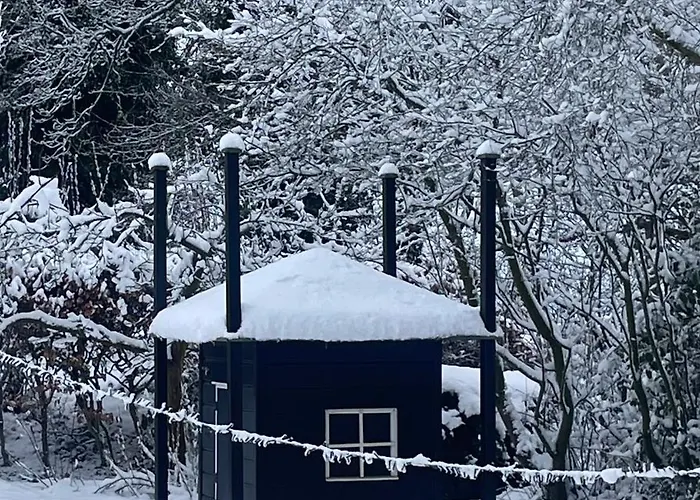 De Túnfûgel (tiny house)